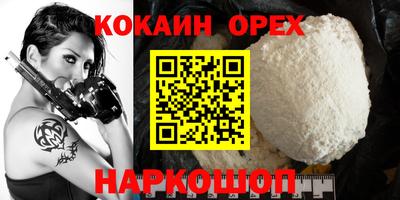 тгк Новодвинск