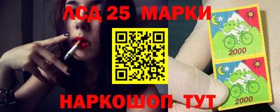 тгк Новодвинск