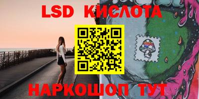 тгк Новодвинск