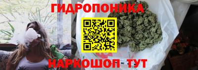 тгк Новодвинск