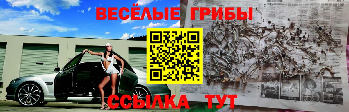 Галлюциногенные грибы мицелий  Псилоцибиновые грибы мухоморы  что такое   Тула  Вход с VPN 